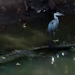 Meet your Posher, Jon